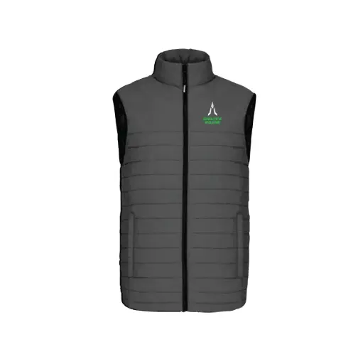 Veste sans manches pour hommes grise